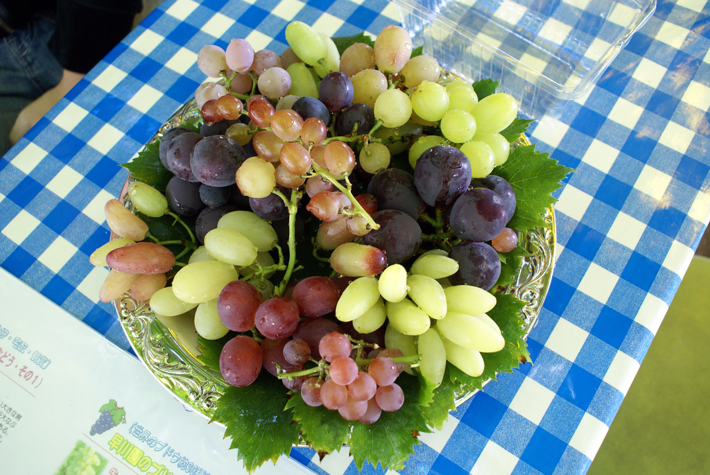 フルーツ狩りはもう行った？秋のフルーツ狩りで超オススメしたい3つのスポット