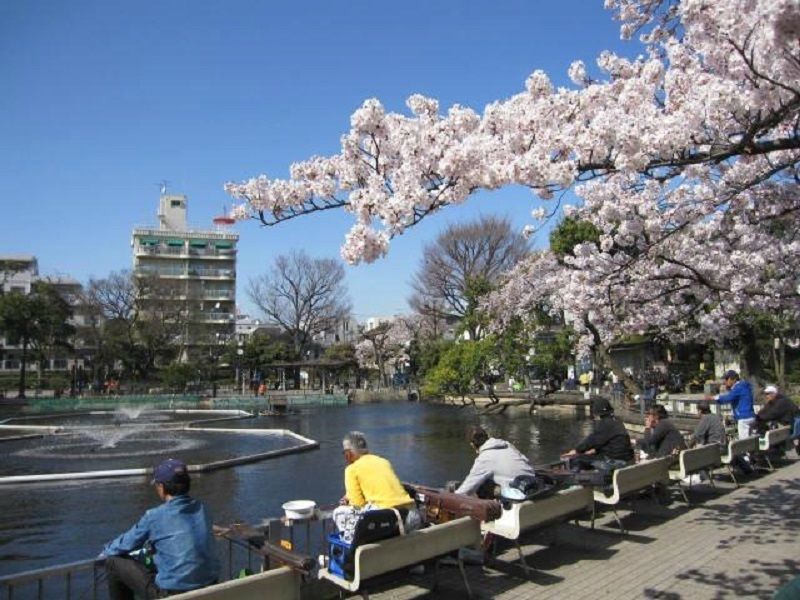 釣りができる公園？！東京の目黒区にある「清水池公園」について