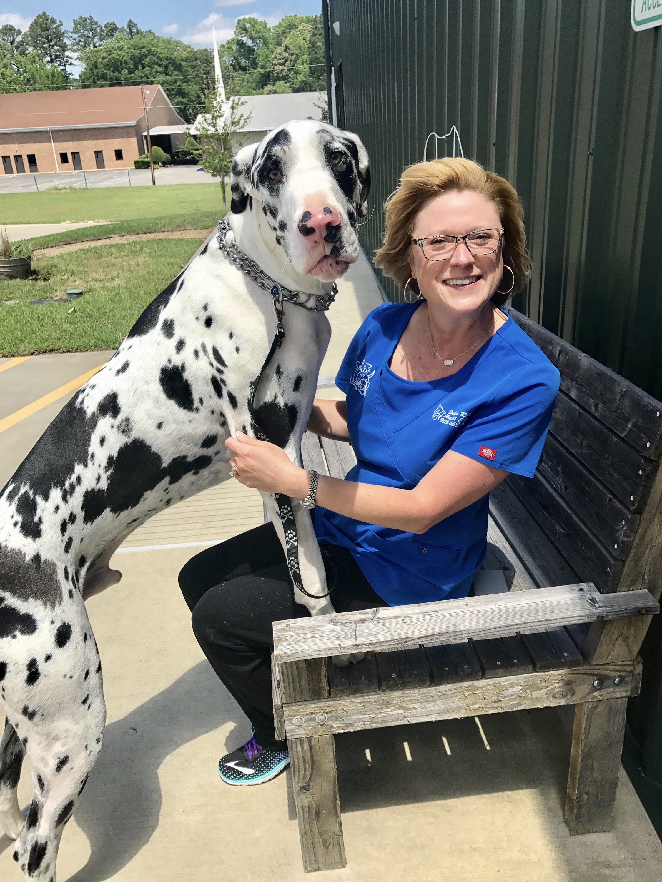 Contact Our Longview Veterinarians at Judson Road Animal Clinic