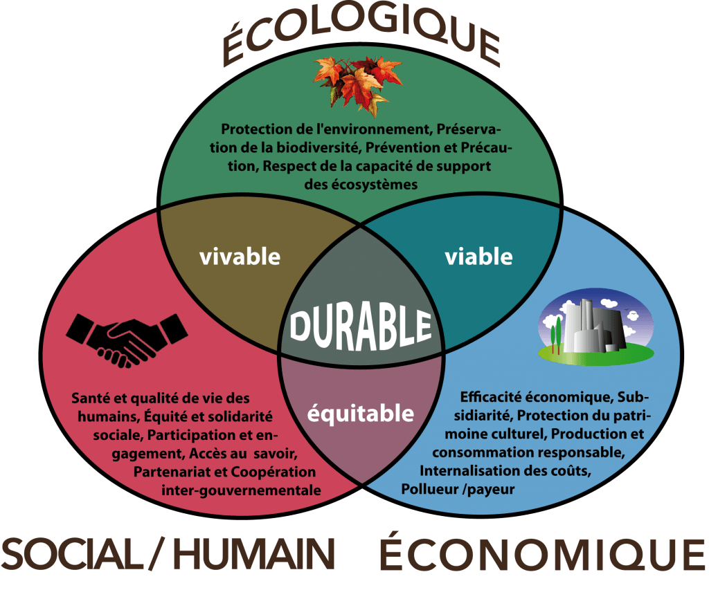 Is Lv Canvas Durable Or Non Durable