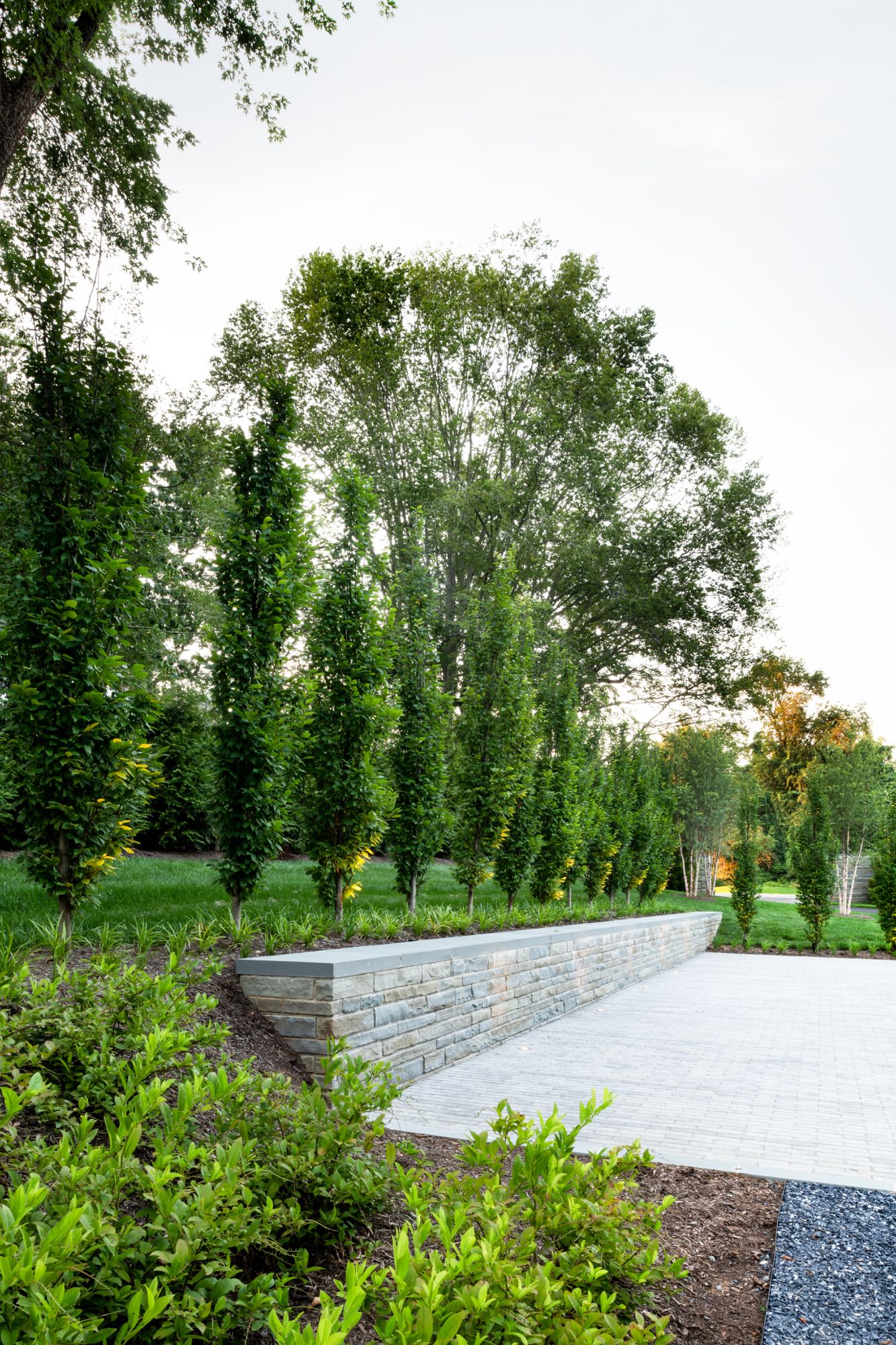 McLean Contemporary Joseph Richardson Landscape Architecture
