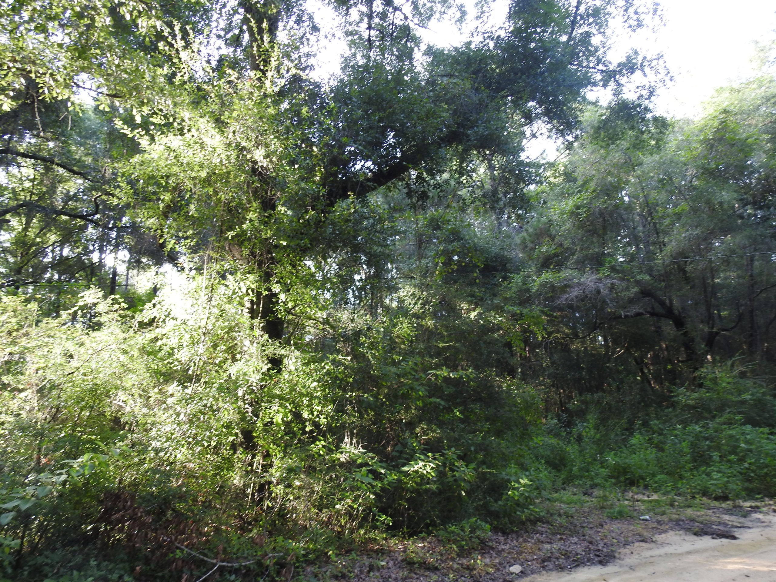 Baker, FL 20+ Acres, High and Dry, Rural Living in NW Florida