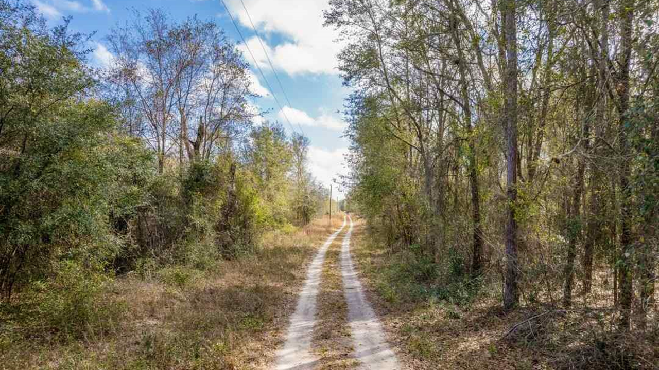 FL 20+ Acres, 2 Separate 10Acre Parcels, Ultimate Privacy