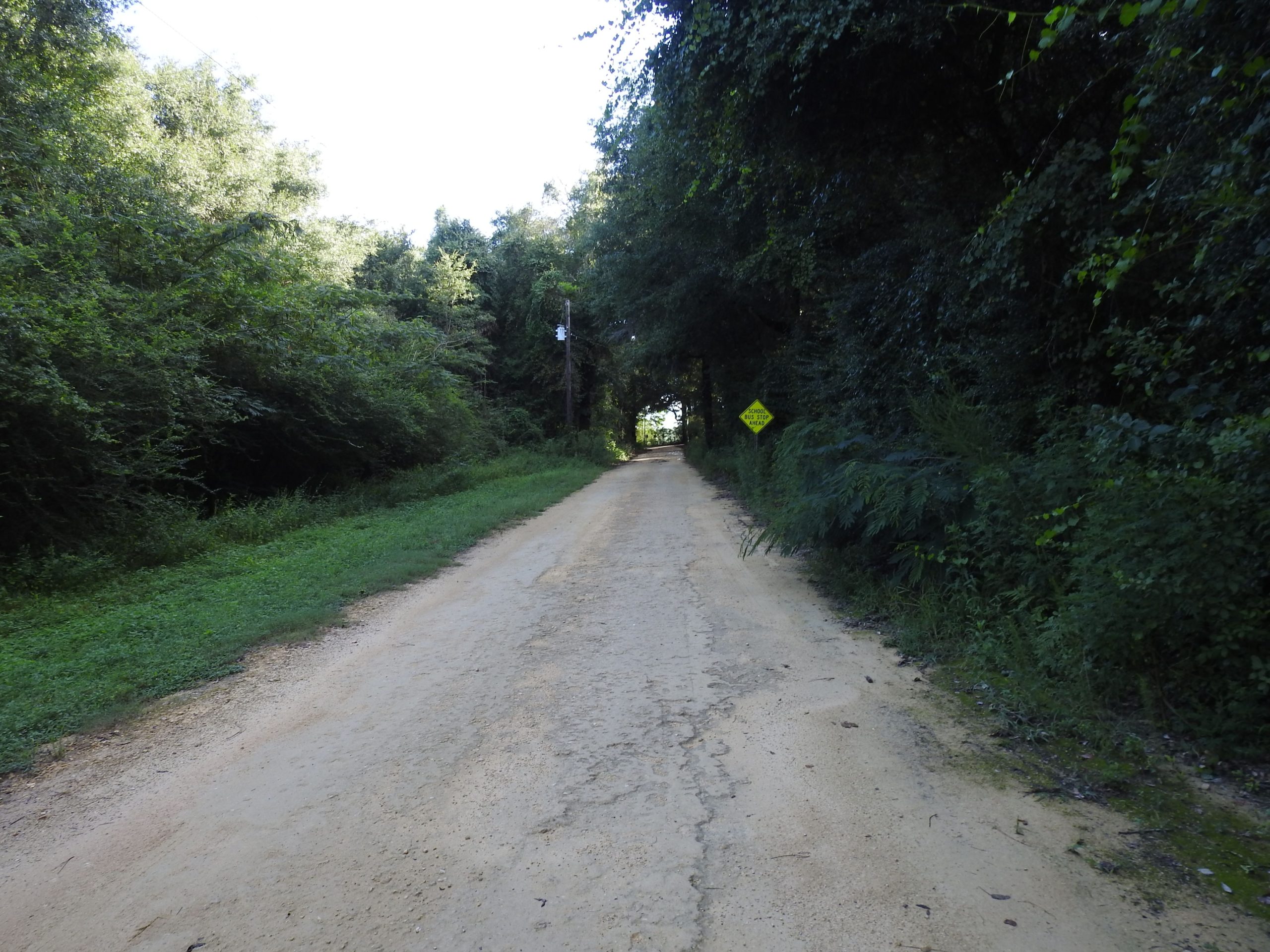 Baker, FL 20+ Acres, High and Dry, Rural Living in NW Florida