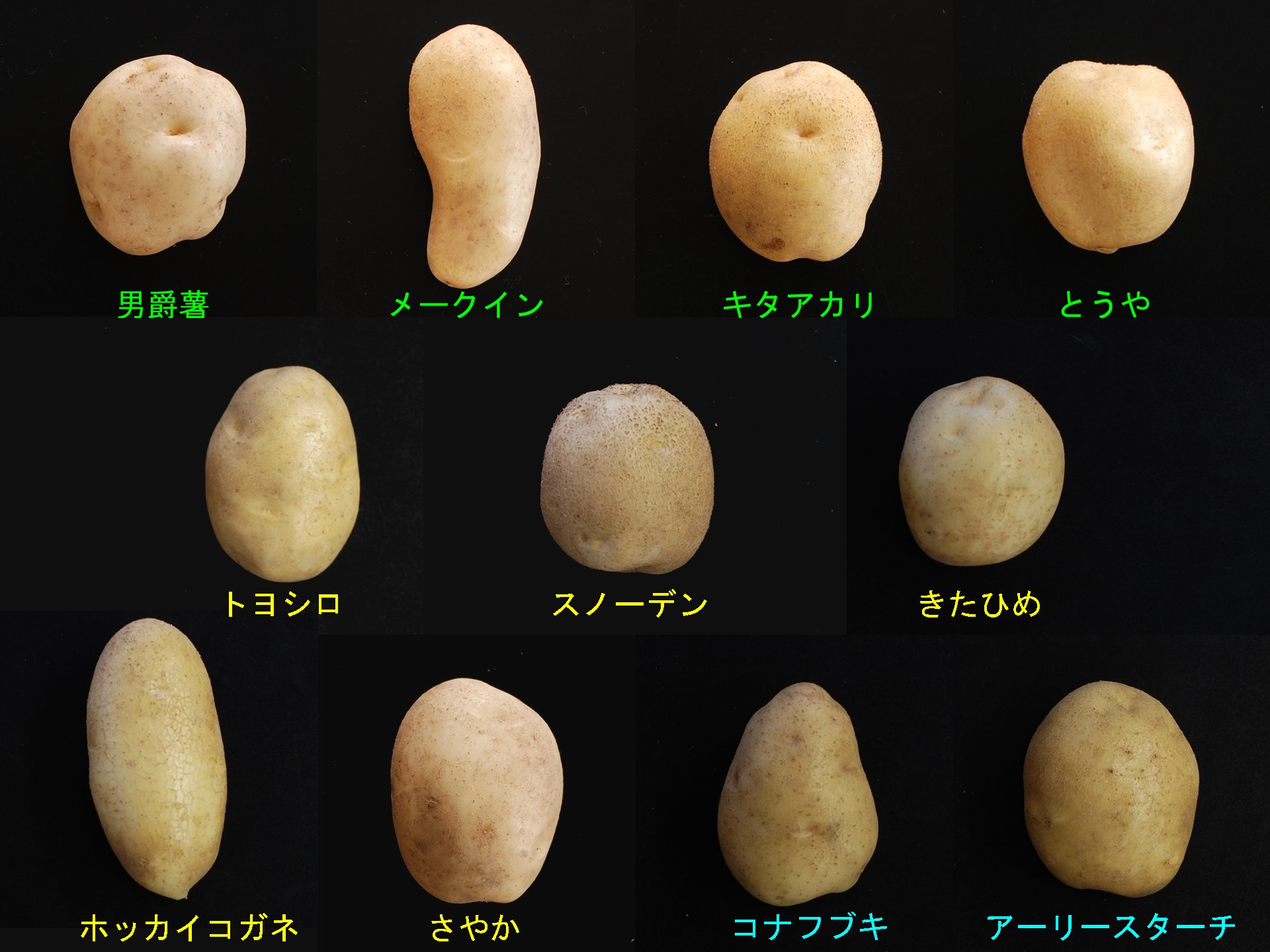 はじめに・参考文献