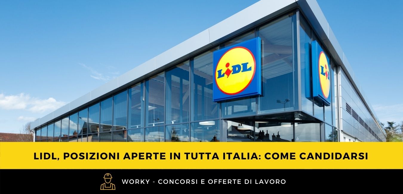 Lidl, Posizioni Aperte: Come Inviare Le Candidature 650_x_1350_jpg