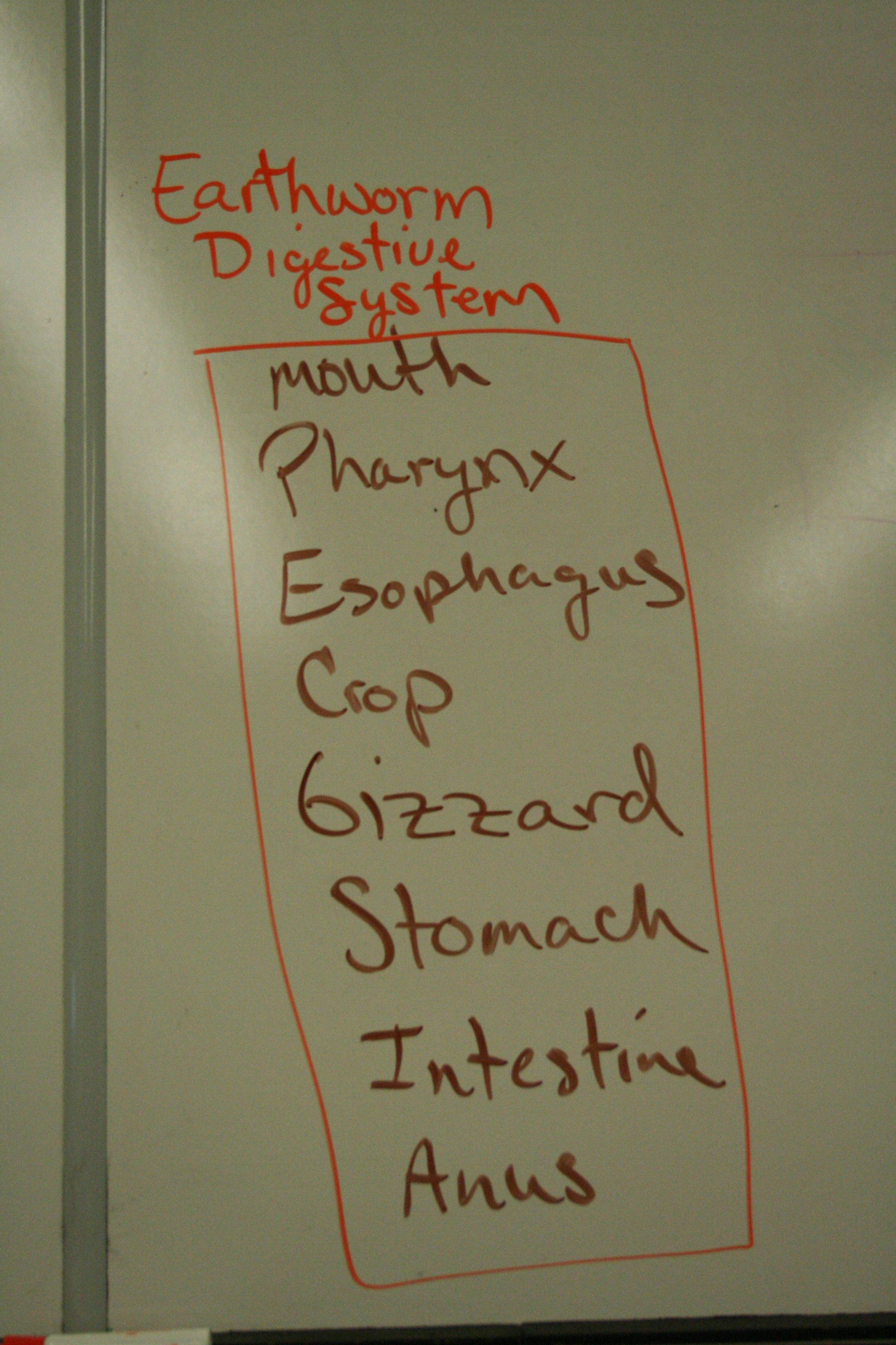 Advanced Biology Page