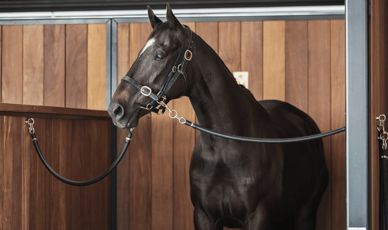 Ellerslie Stables Project Showcase JSC