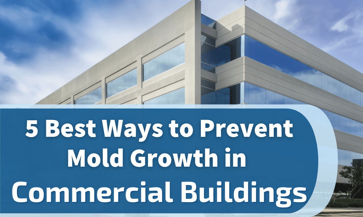 5 Best Ways to Prevent Mold Growth in Commercial Buildings