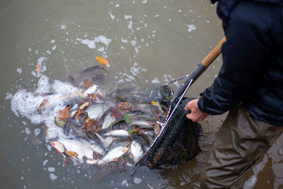 Lake Netting UK & Abroad JS Fisheries