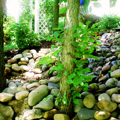 HOME J&S Lawn Maintenance & Sprinkler Systems