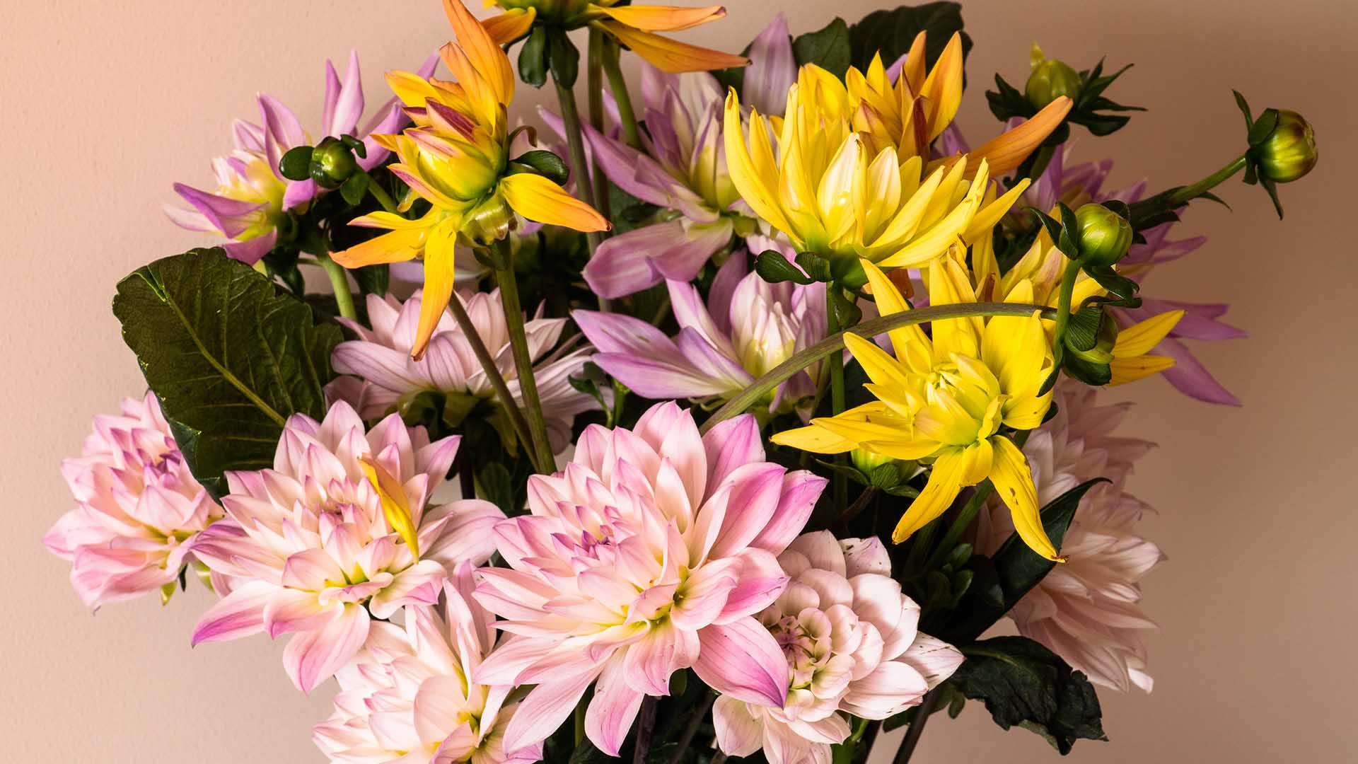 Obituaries Starks Family Funeral Homes