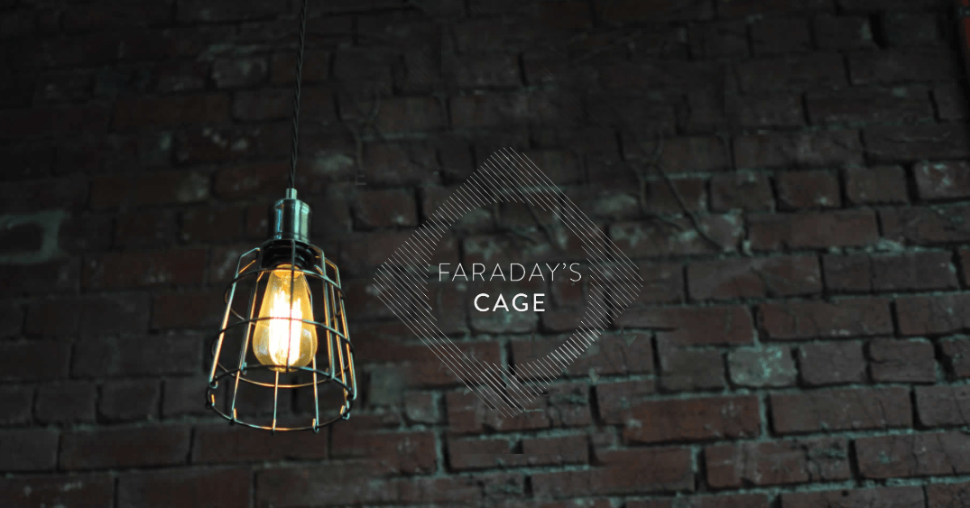 Faradays Cage Johnson St Veterinary Clinic
