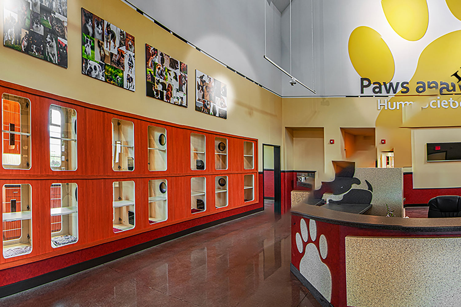 Paws and Claws JT Egner Construction