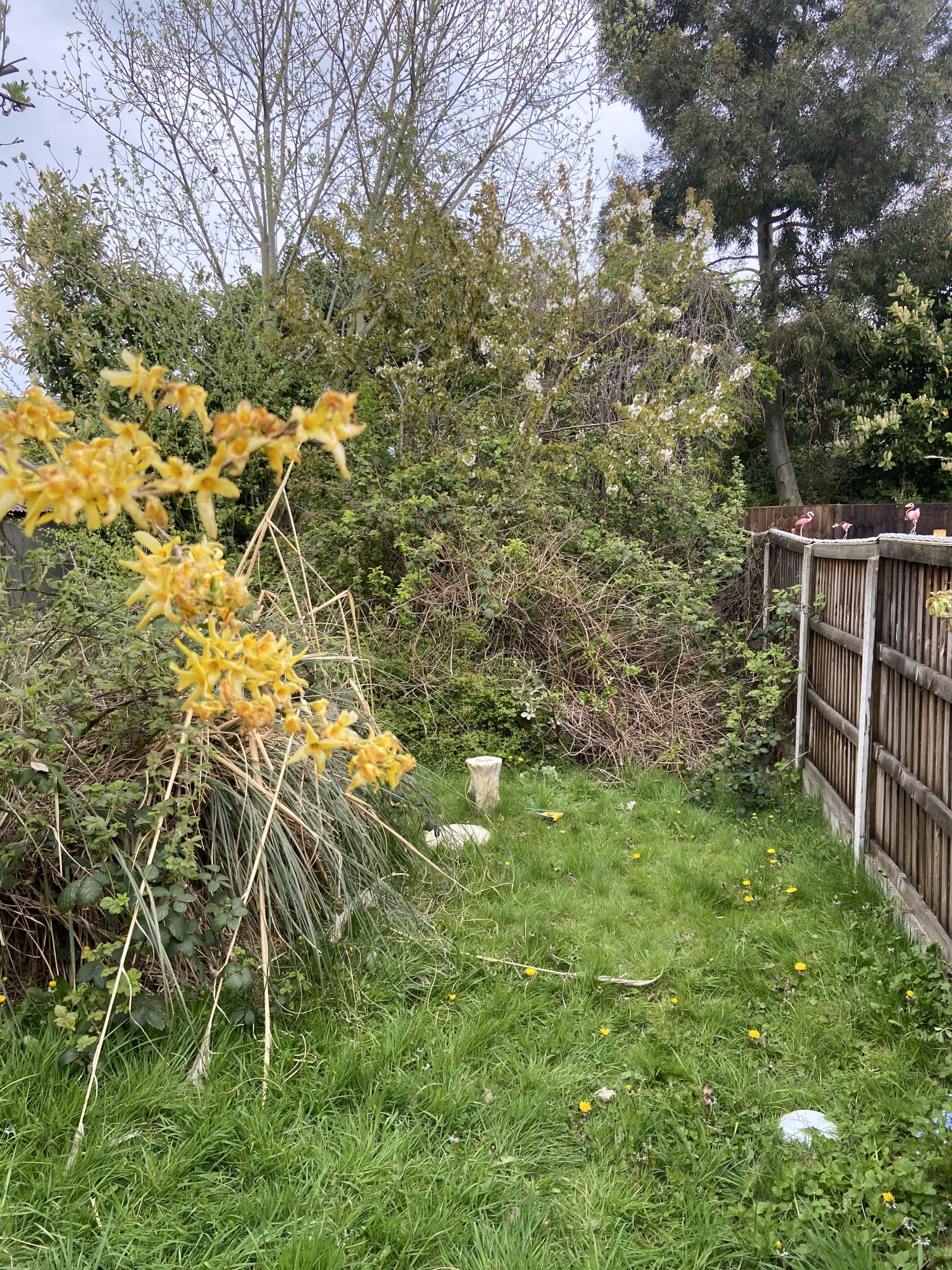 Jubilee Avenue, Crewe