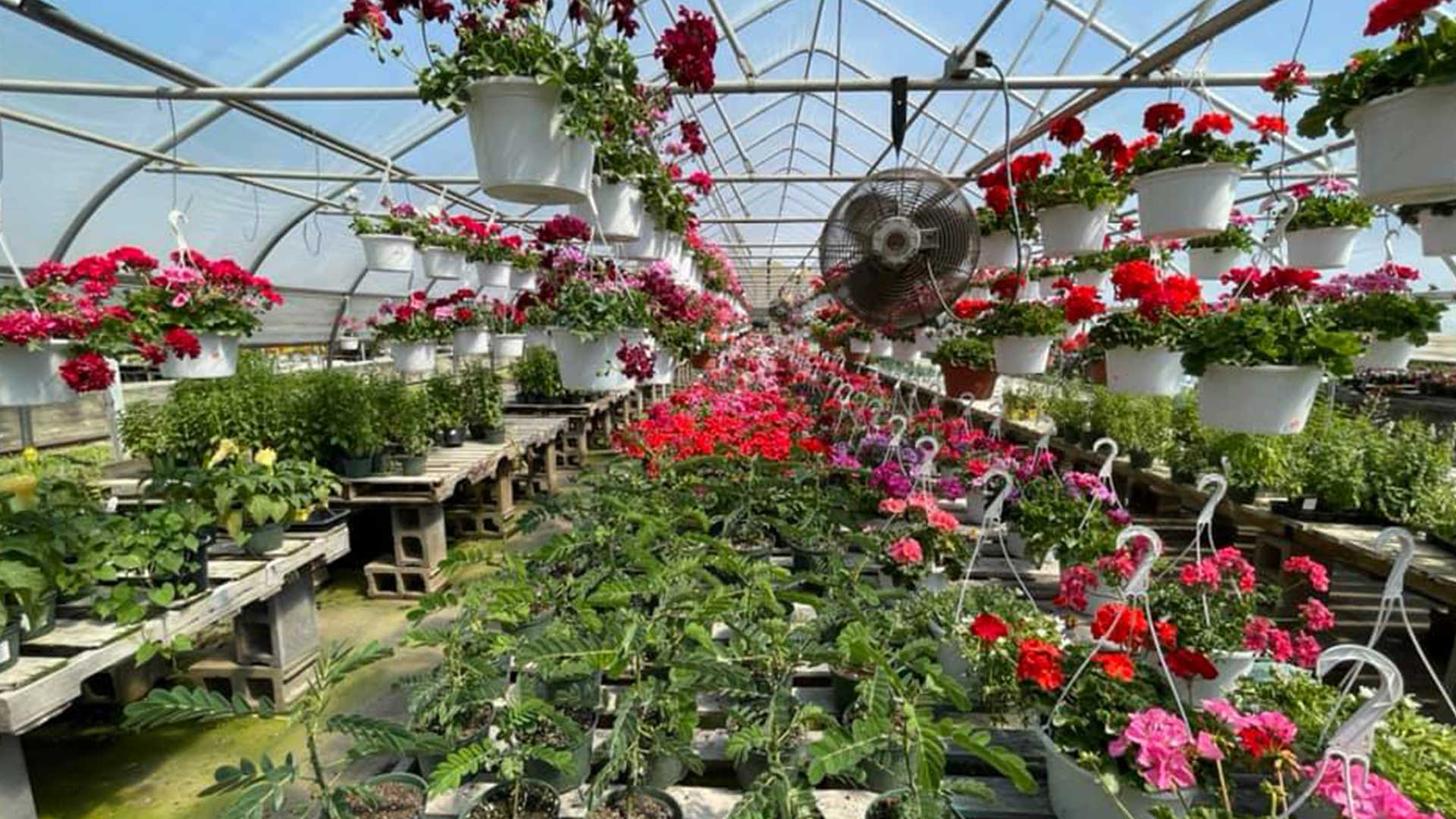 Hobbit Greenhouses Tour JTV Jackson