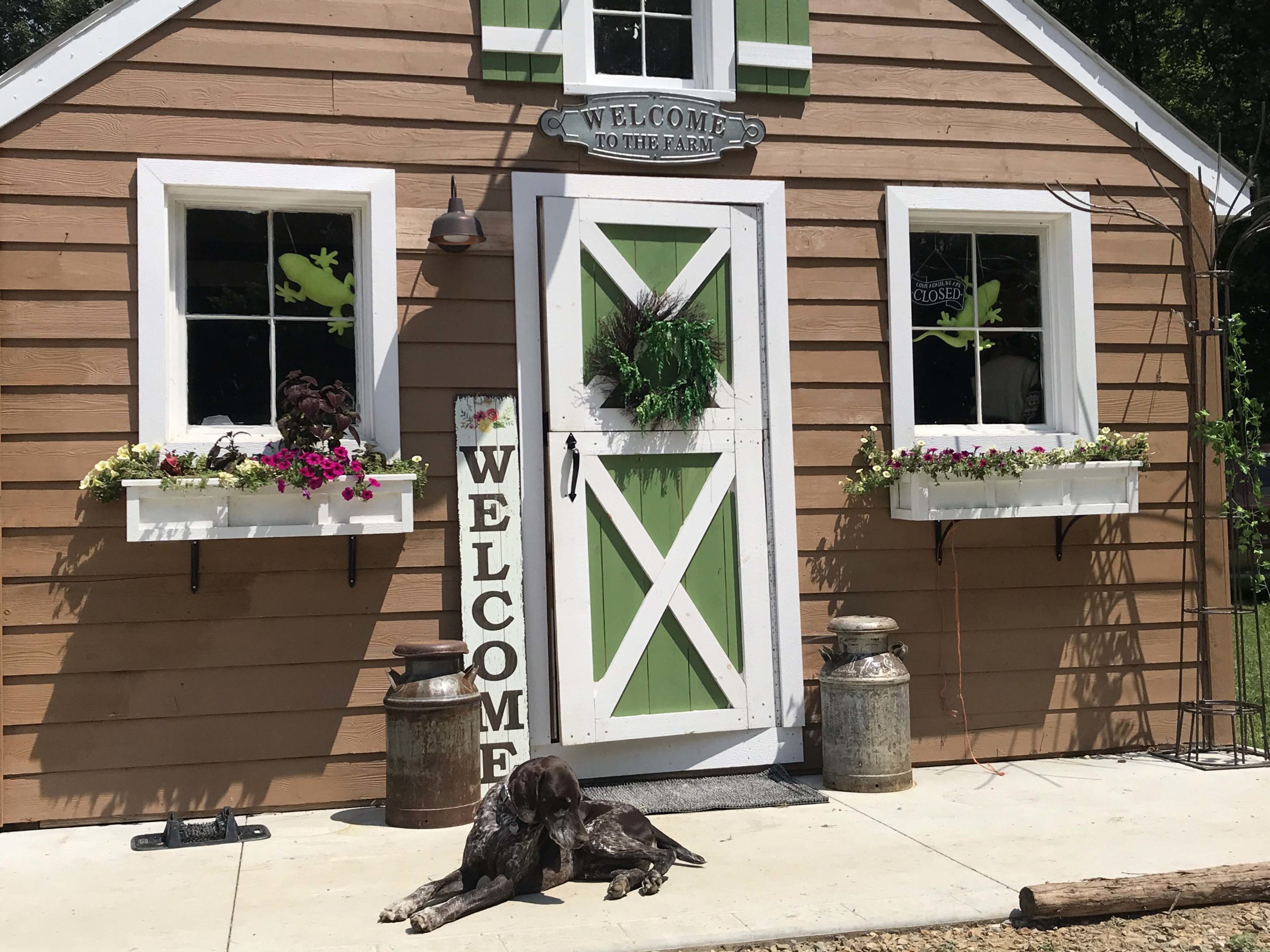 Lowry's Little Flock Farm JTV Jackson