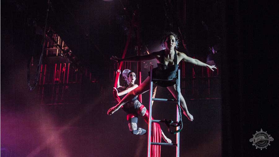 Tickets on Sale Now for Potter Center Season JTV Jackson