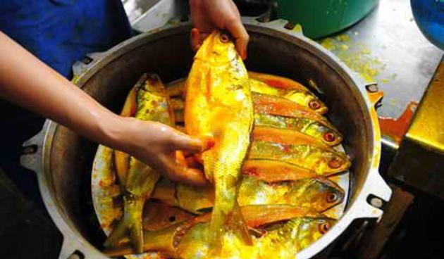SUPPLIER IKAN BANDENG CABUT DURI 085.69.6160.69.8 JUAL BANDENG