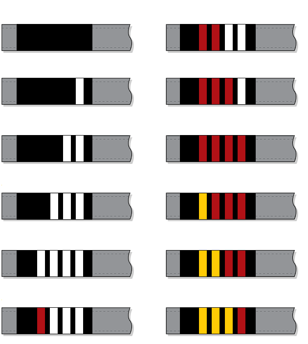 Kids BJJ Belt System Broomfield, CO Jubera Brazilian JiuJitsu