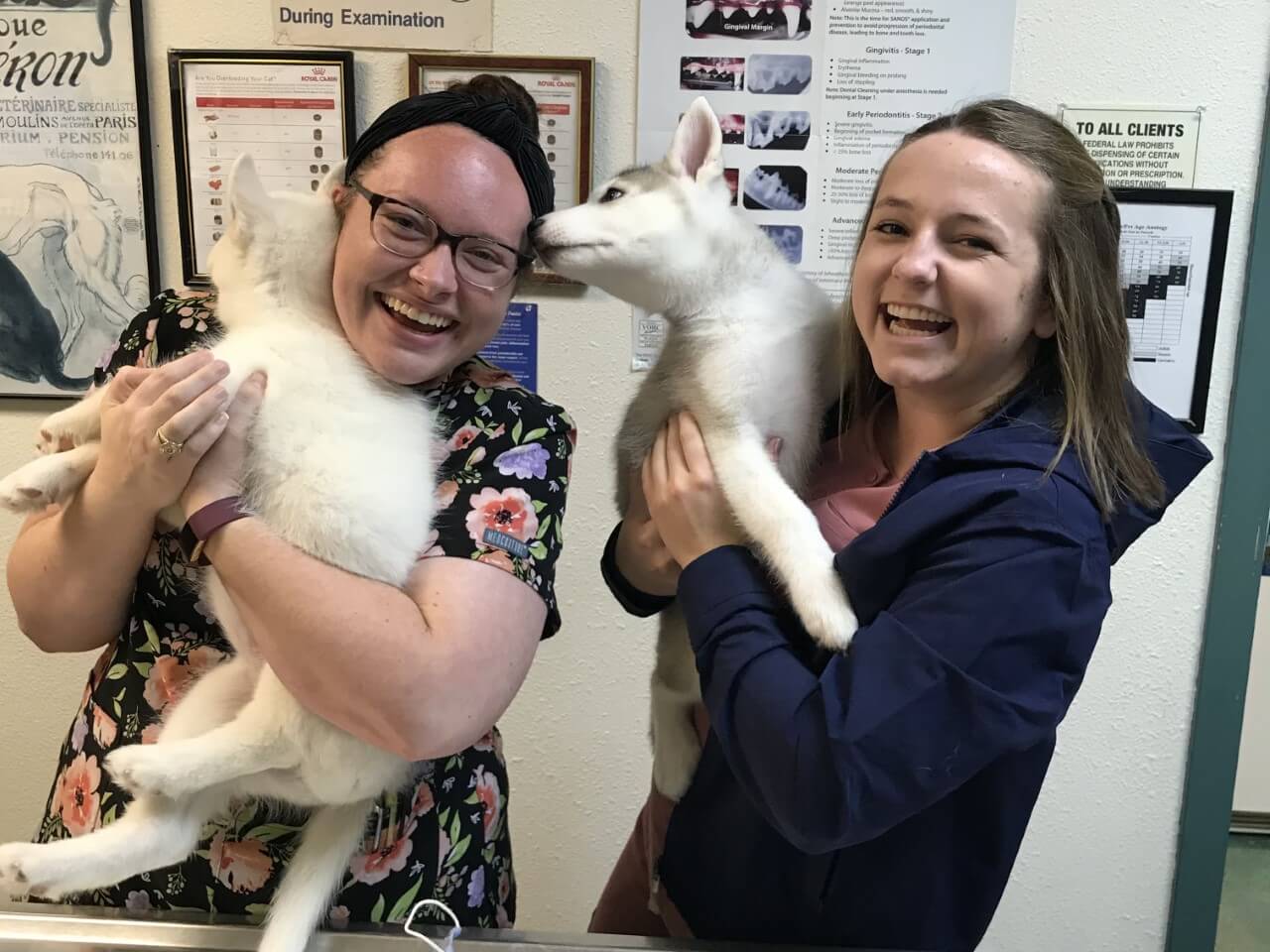 Best Veterinary Hospital in Hewitt, TX 76643 Judd Veterinary Clinic