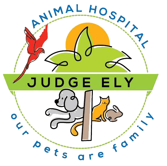 Judge Ely Animal Hospital, Abilene, TX