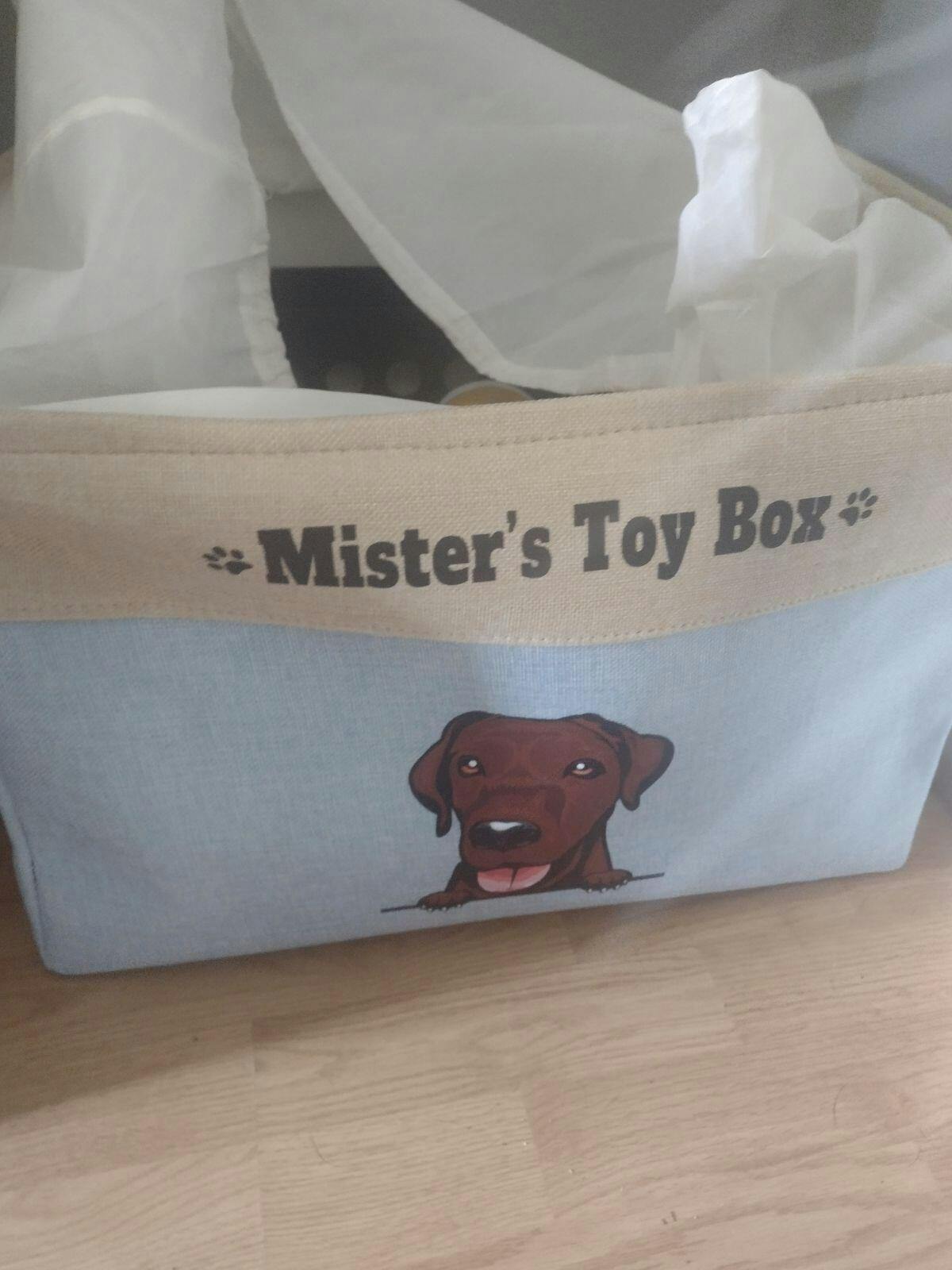 Personalized Dog Name and Breed Toy Box Mostly Paws