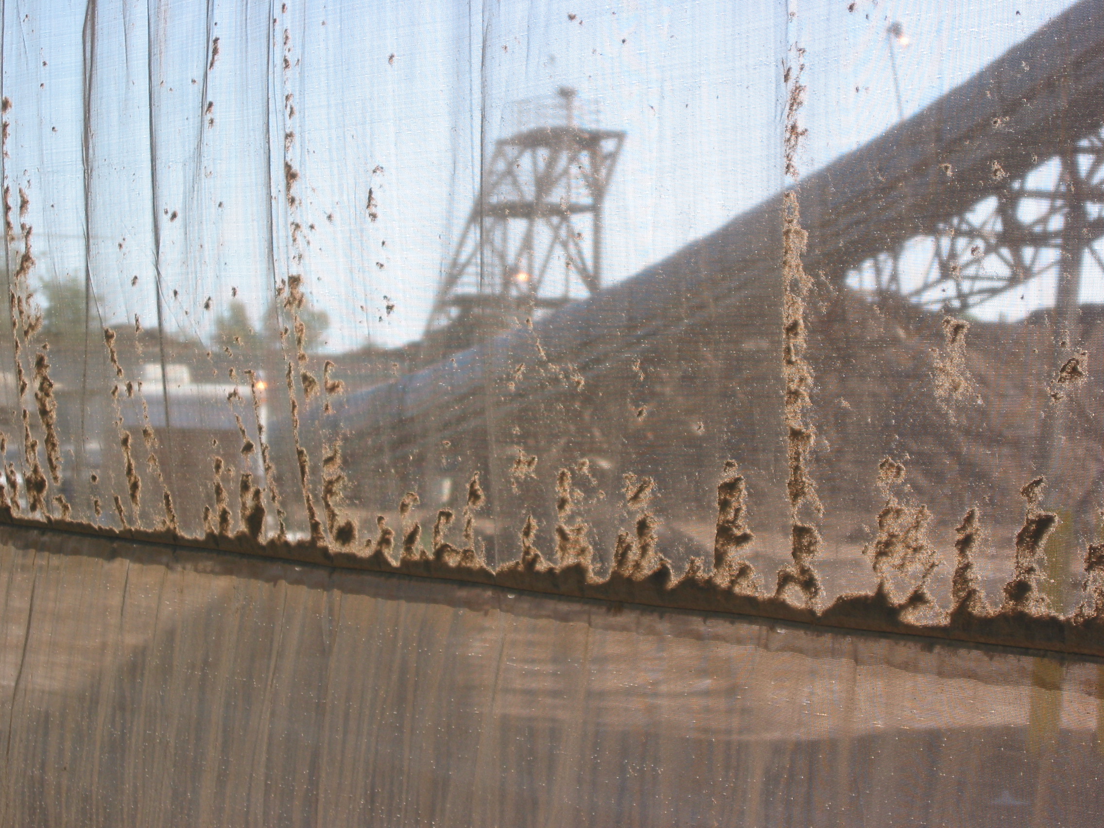 Rio Bravo Generating Station’s Fresno and Rocklin CA Judge Netting