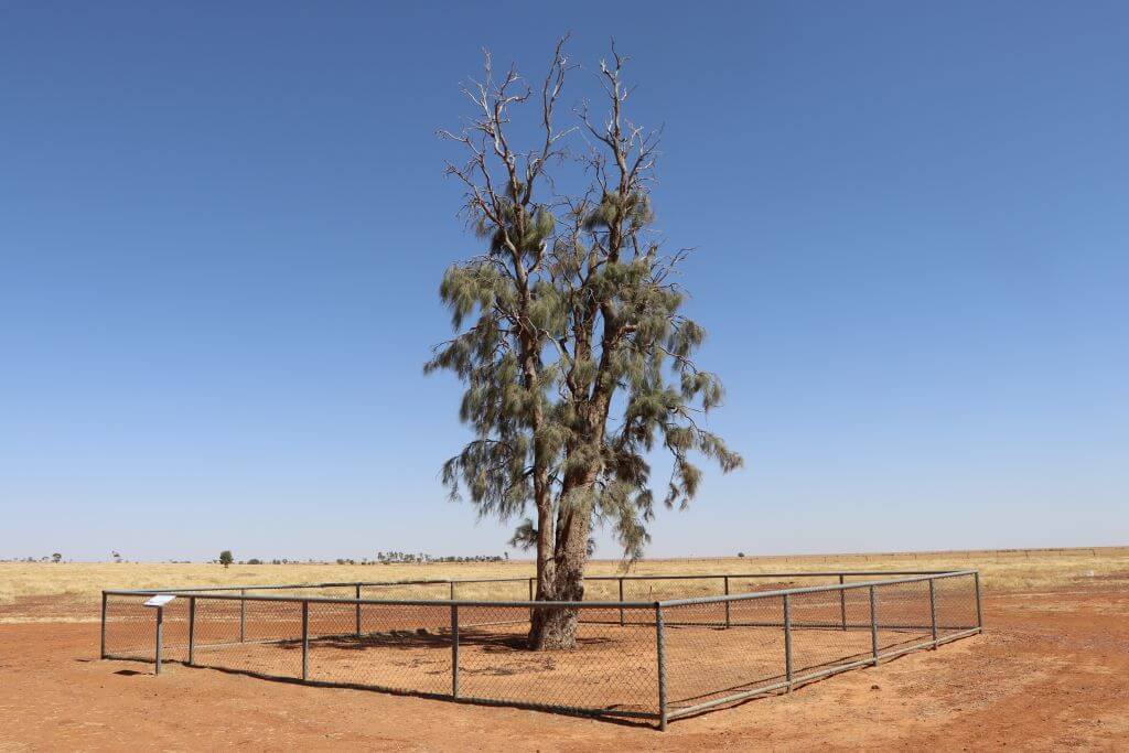 In the tracks of Cobb and Co The WintonBoulia route