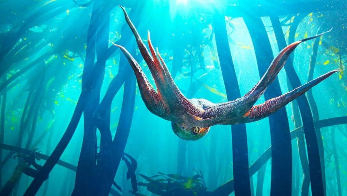 Octopus Is People Pleaser on PBS Nature and in Oscarwinning