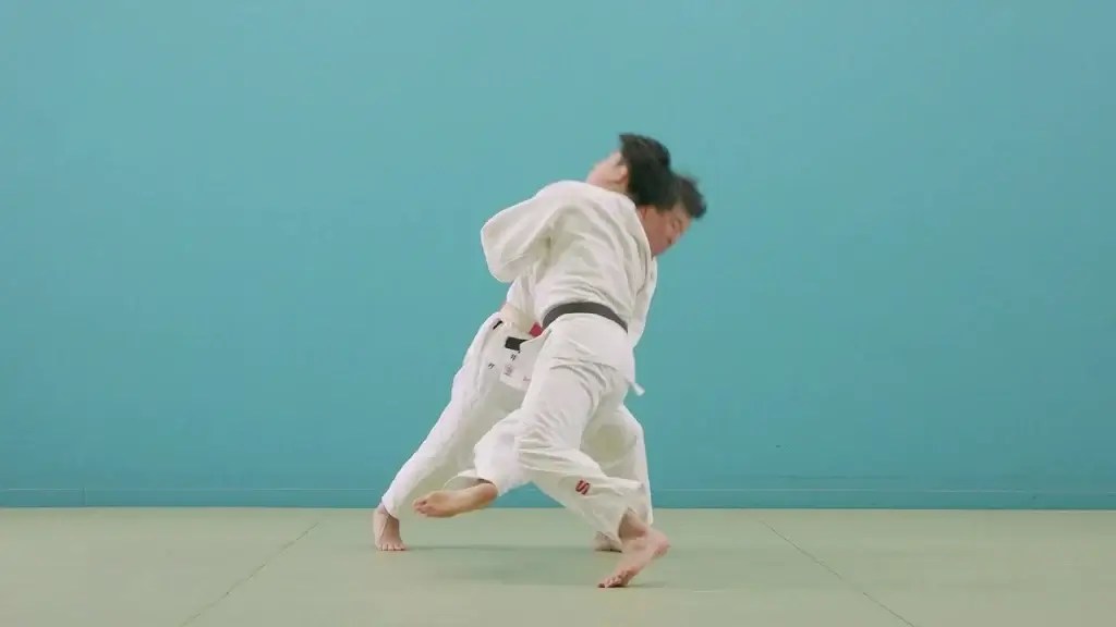 Hand techniques (Tewaza) 🥋 Judo.how » All about Judo