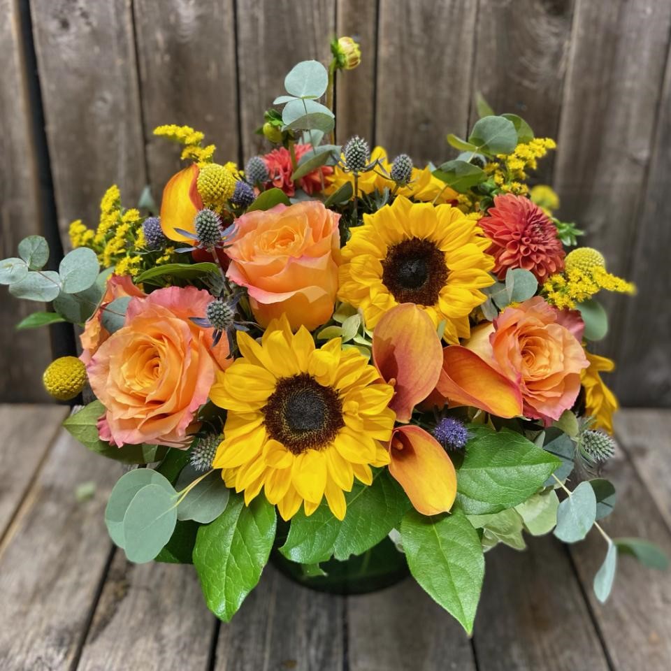 2023 Fall In New England Collection Is Online ⋆ Judy's Village Flowers ⋆ Foxboro MA