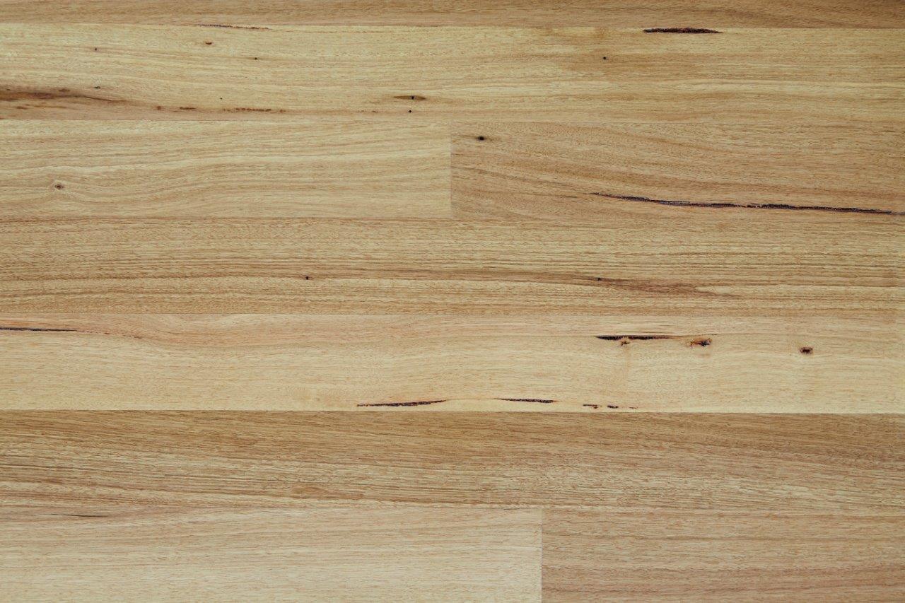Australian Chestnut Flooring For Sale Online JU Flooring