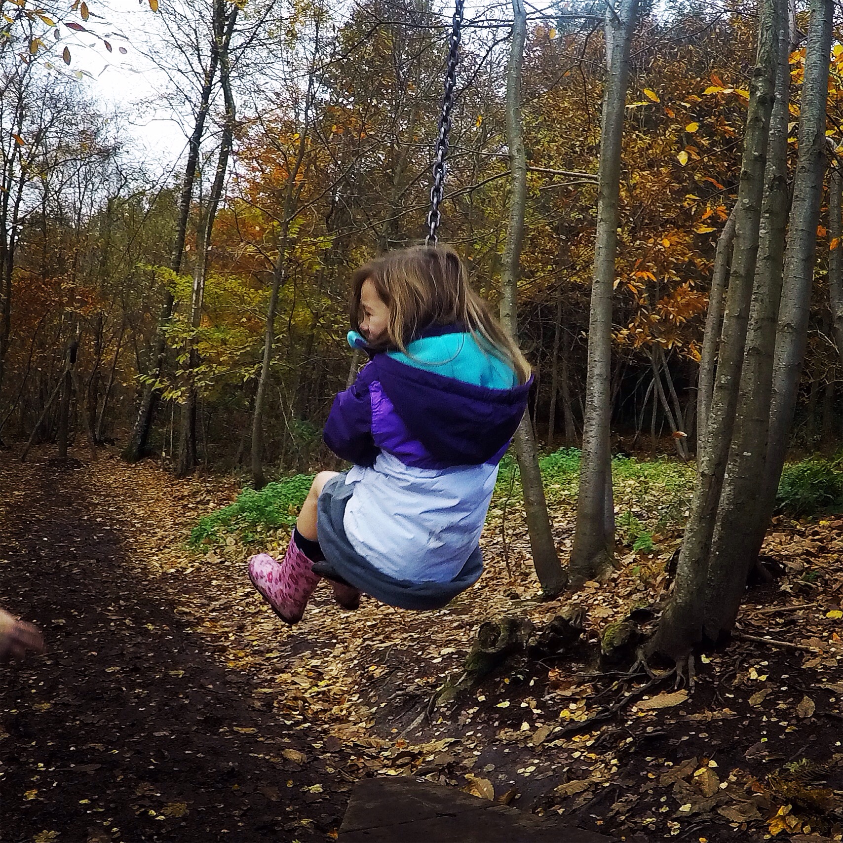 Wilderness Wood, Hadlow Down jugglingonrollerskates