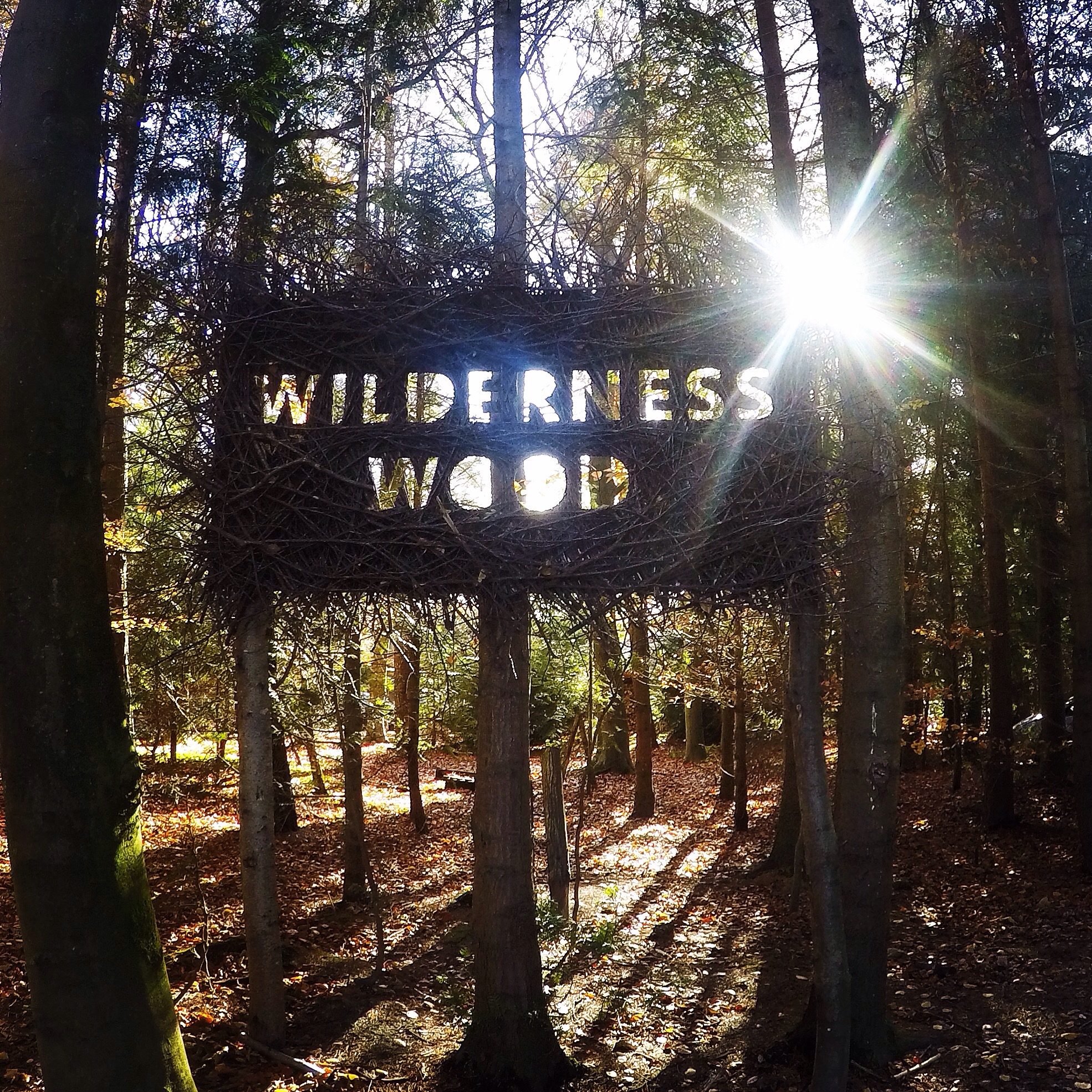 Wilderness Wood, Hadlow Down jugglingonrollerskates