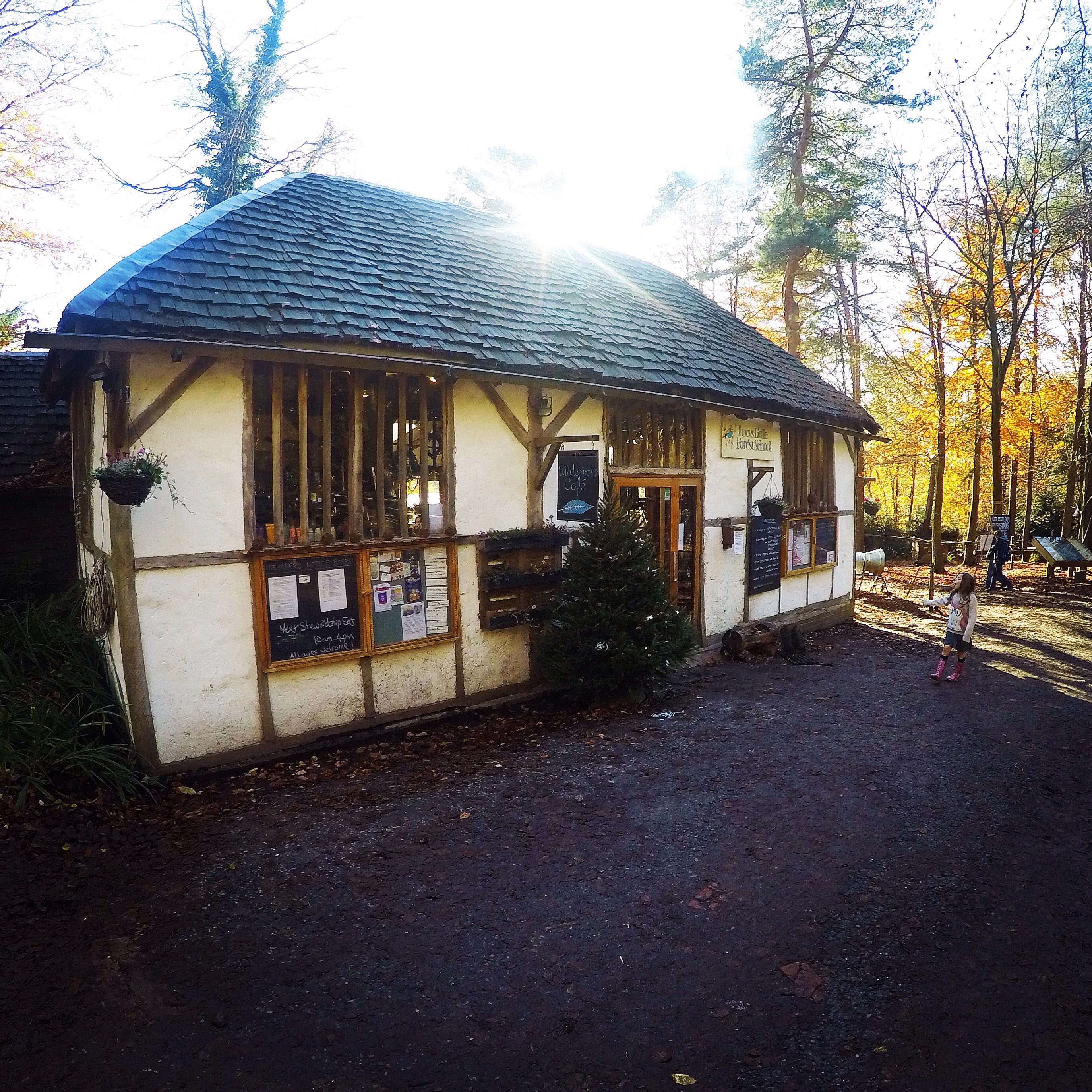 Wilderness Wood, Hadlow Down jugglingonrollerskates
