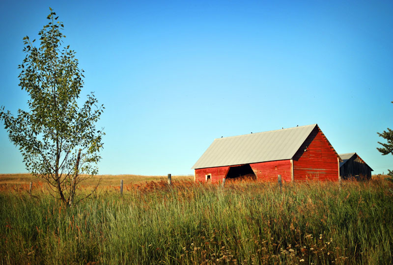 Photo Gallery Jug Mountain Ranch