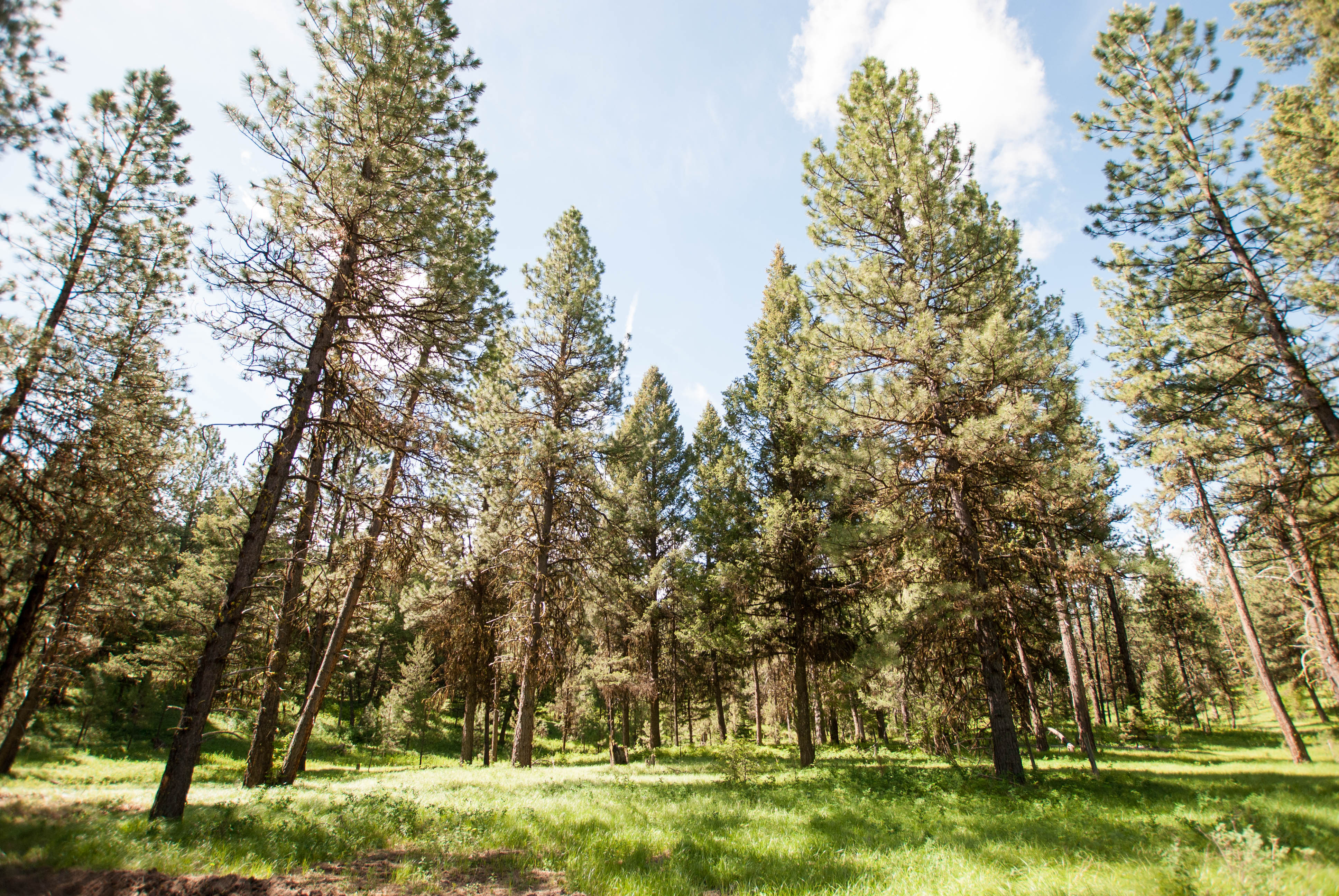 REAL ESTATE Jug Mountain Ranch