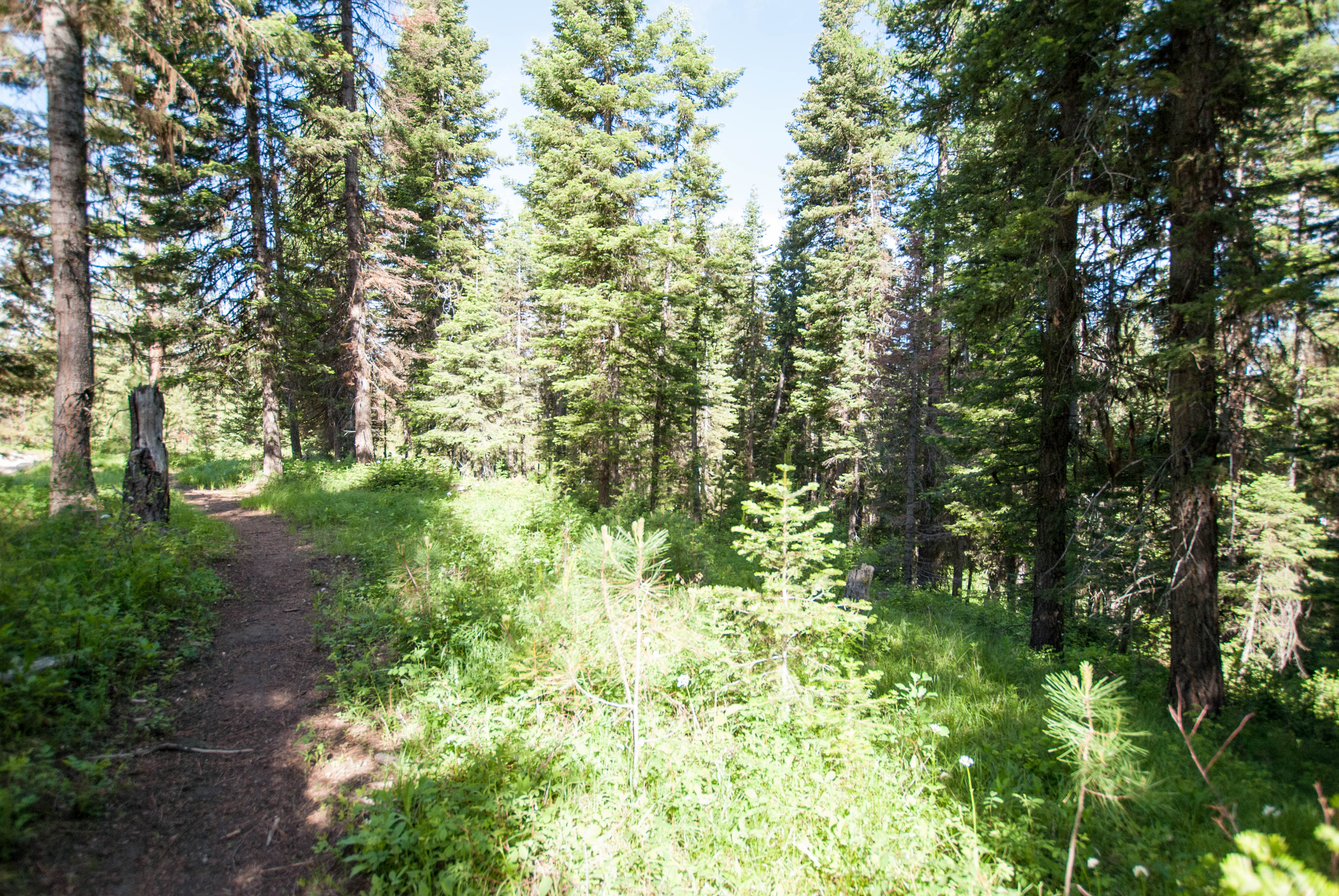 REAL ESTATE Jug Mountain Ranch