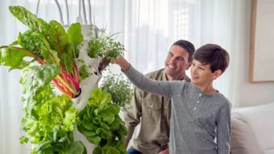 Setting Up Tower Garden HOME Tower Garden