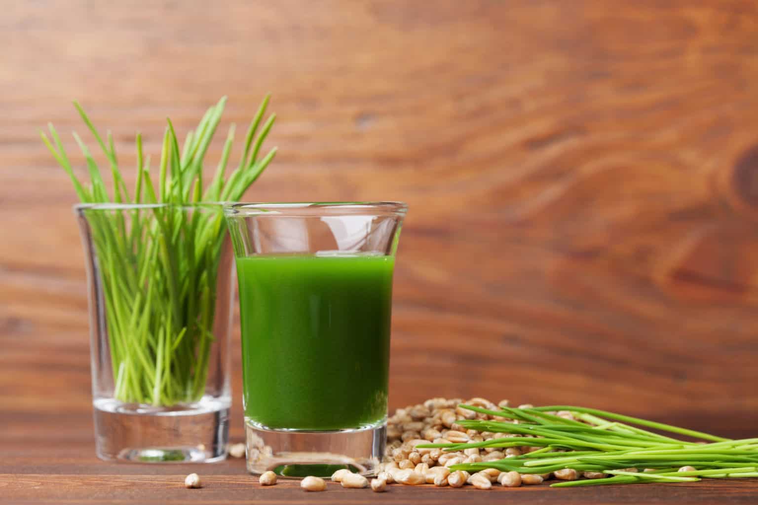 Best 3 Wheatgrass Juicers in 2023 (After 29 Years of Juicing) juicer360