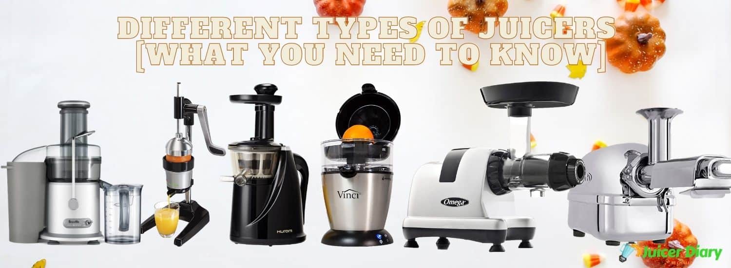 Different Types Of Juicers [What You Need To Know] Juicer Diary
