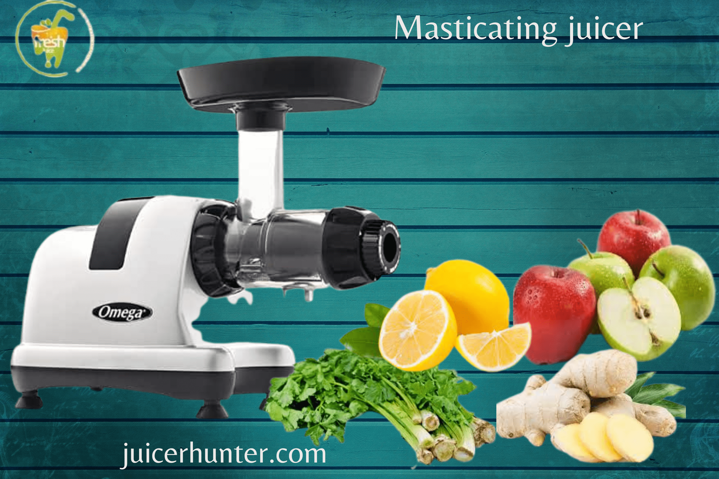 Best Masticating Juicers Under 200 at Eugene Garcia blog