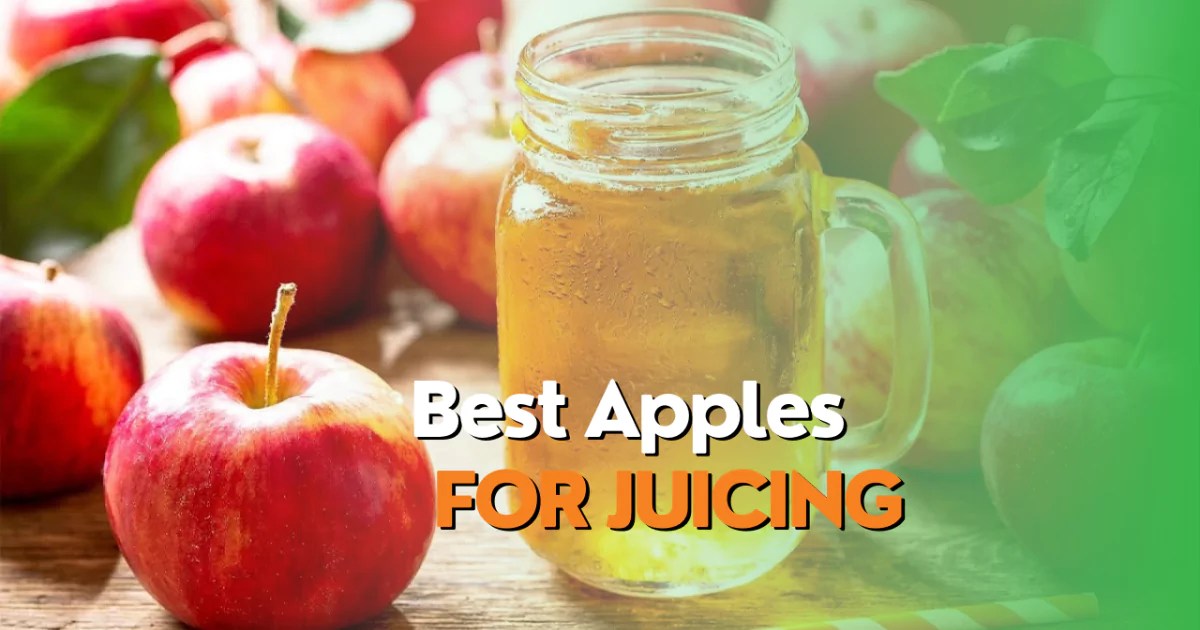 Best Apples for Juicing Juicer Hunter