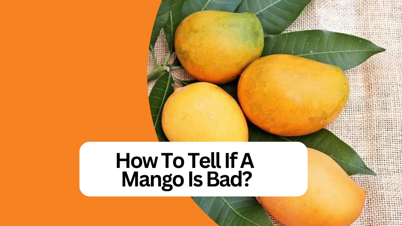 How To Tell If A Mango Is Bad? Juicer Hunter