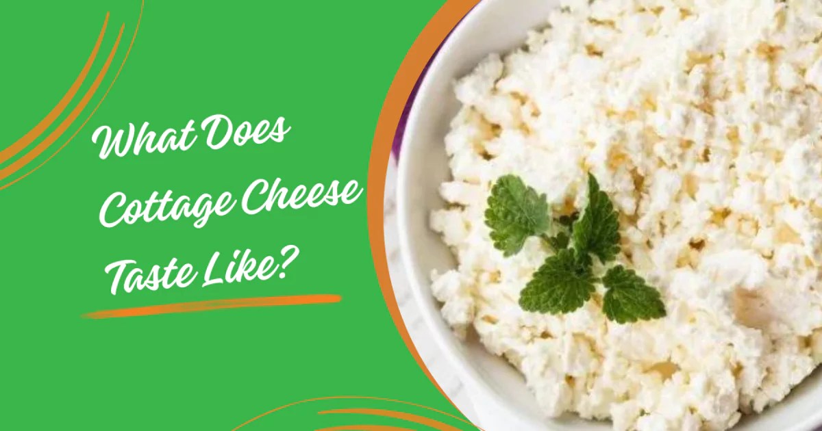 What Does Cottage Cheese Taste Like? Juicer Hunter
