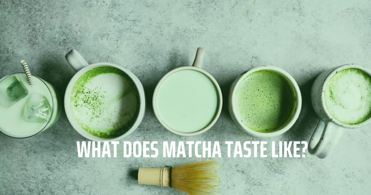 What Does Matcha Taste Like? Juicer Hunter