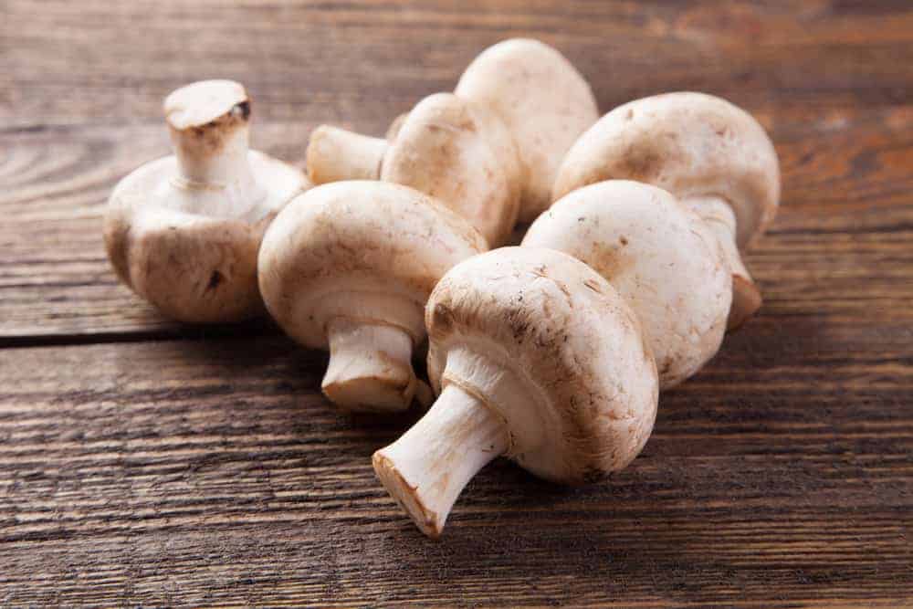Mushroom Juice Recipe You Should Try JuicerKit