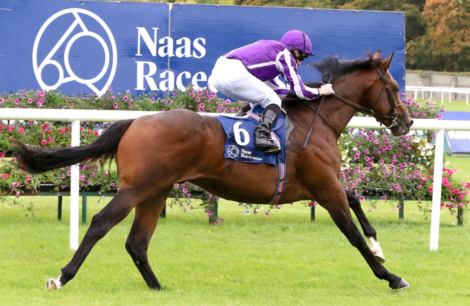 Naas Horse Racing Tips and Stats Monday 23rd March 2020 Betting