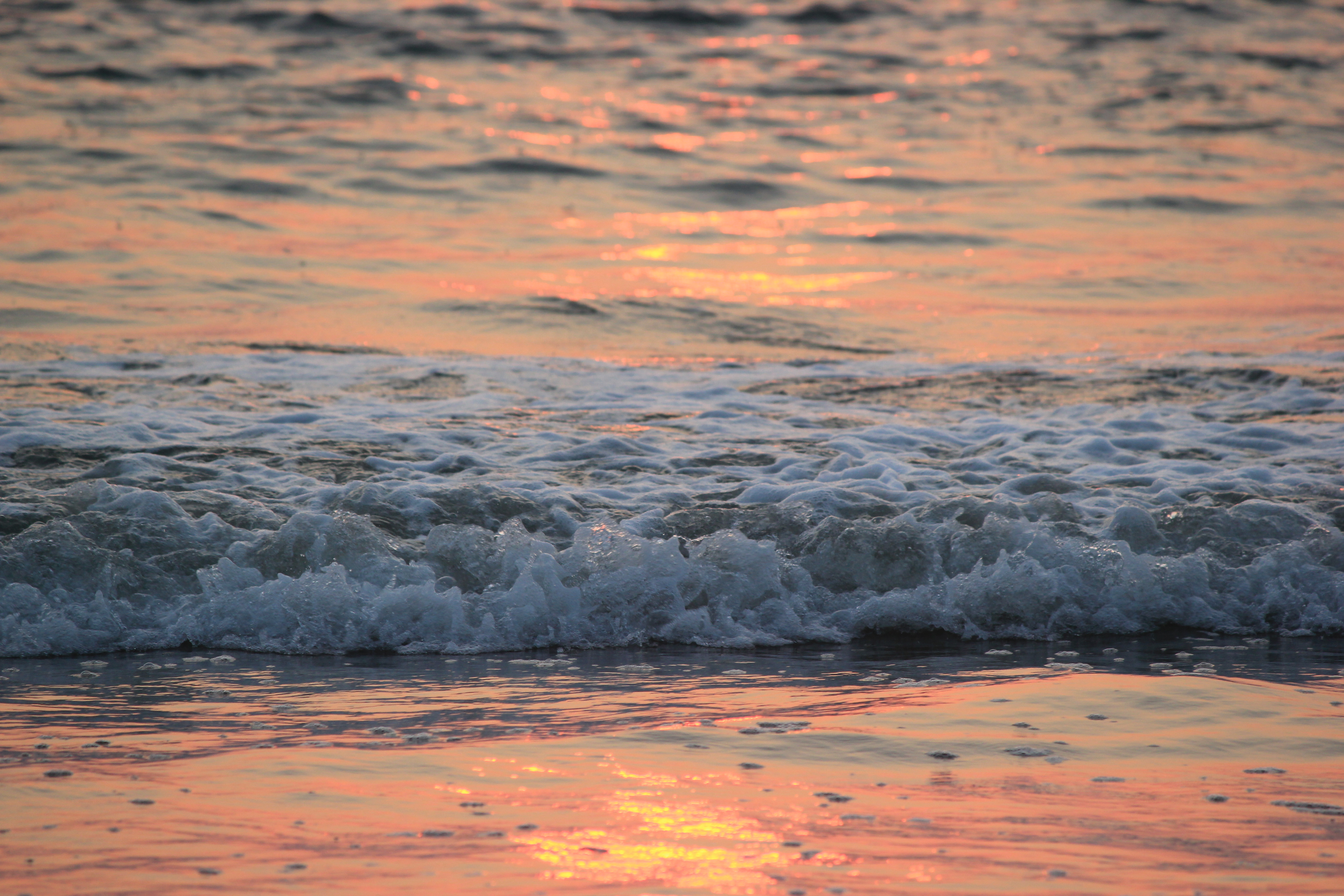 White Waves |
